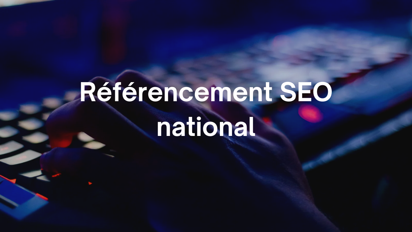 Référencement SEO national - AGENCE SMMALEAD