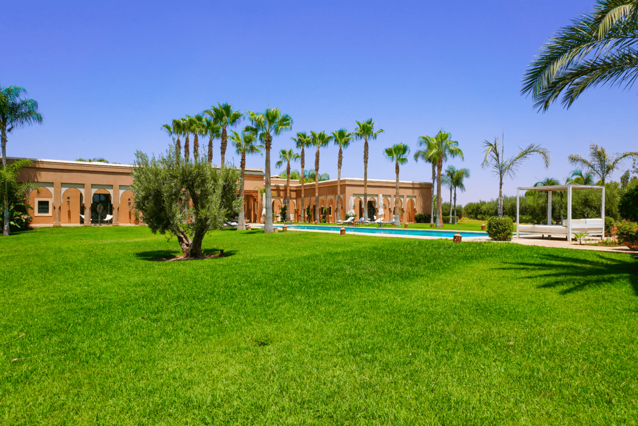 Galerie - Photographe Marrakech – Capturez Vos Moments Précieux